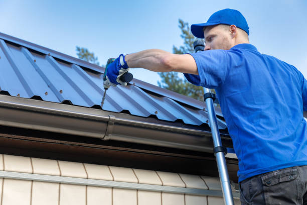 Best Metal Roofing Installation  in Palos Hls, IL