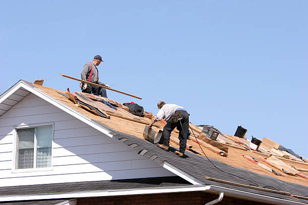 Best Metal Roofing Installation  in Palos Hls, IL